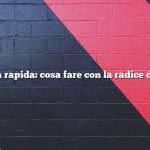 Risposta rapida: cosa fare con la radice di rafano