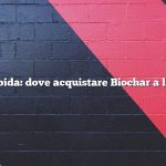 Risposta rapida: dove acquistare Biochar a livello locale