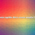 Risposta rapida: dove cresce meglio l’erba