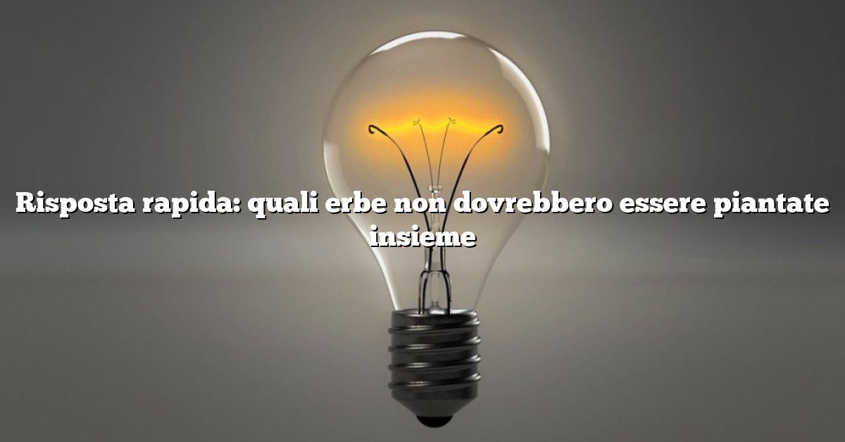 Risposta rapida: quali erbe non dovrebbero essere piantate insieme