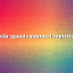 Risposta rapida: quando piantare l’anguria nel Missouri