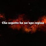 Che aspetto ha un’ape regina
