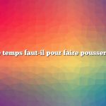 Combien de temps faut-il pour faire pousser l’amarante