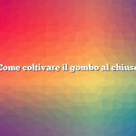 Come coltivare il gombo al chiuso