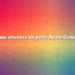 Come ottenere un pollo Ayam Cemani
