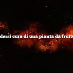 Come prendersi cura di una pianta da frutto del drago
