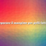 Come preparare il mangime per polli fatto in casa