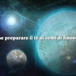 Come preparare il tè ai semi di finocchio