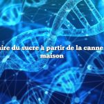 Comment faire du sucre à partir de la canne à sucre à la maison
