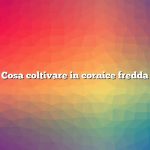 Cosa coltivare in cornice fredda