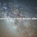 Cosa fare con le mele del mio albero