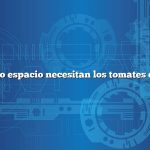 ¿Cuánto espacio necesitan los tomates cherry?