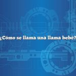 ¿Cómo se llama una llama bebé?