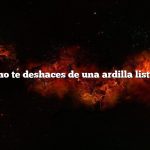 ¿Cómo te deshaces de una ardilla listada?