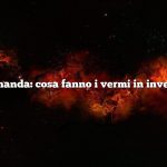 Domanda: cosa fanno i vermi in inverno