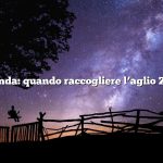 Domanda: quando raccogliere l’aglio Zona 5