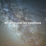Où poussent les conifères