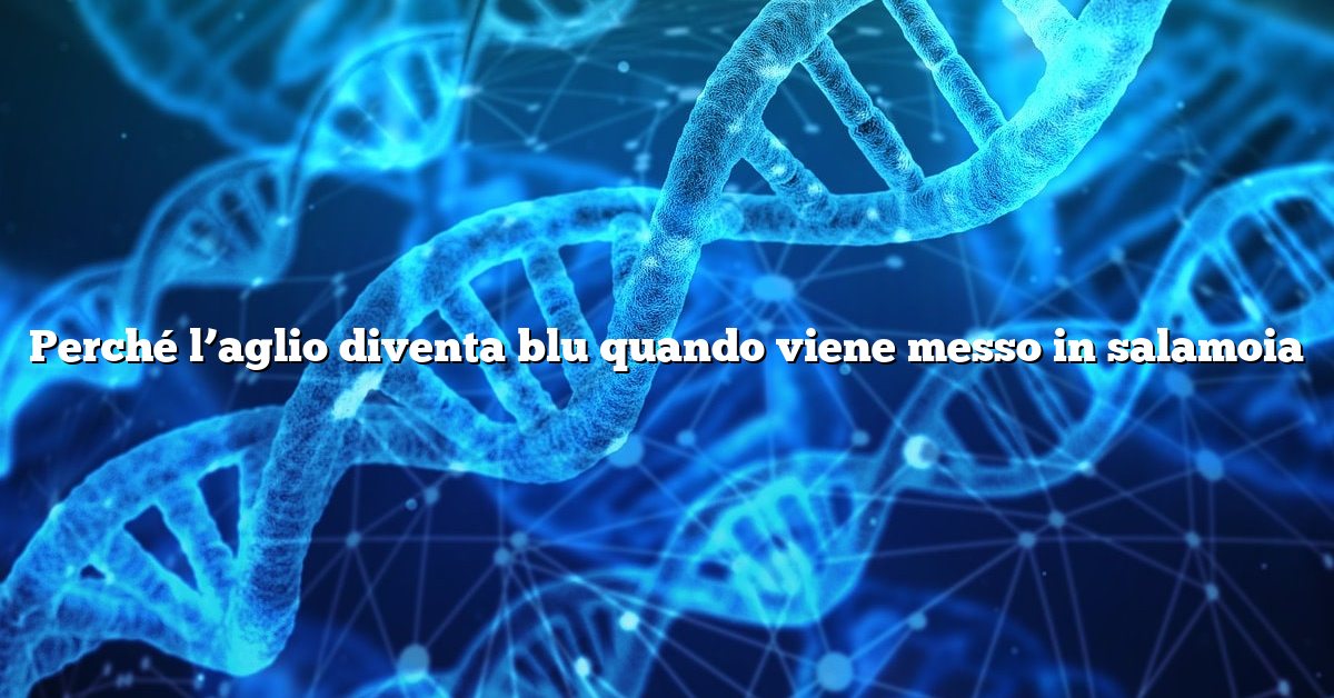 Perché l’aglio diventa blu quando viene messo in salamoia