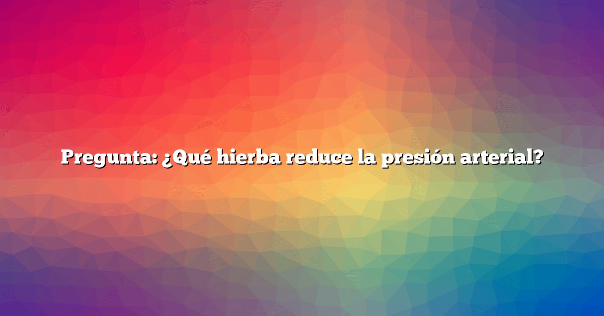Pregunta: ¿Qué hierba reduce la presión arterial?