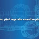 Pregunta: ¿Qué vegetales necesitan pleno sol?