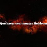 Qué hacer con tomates Heirloom