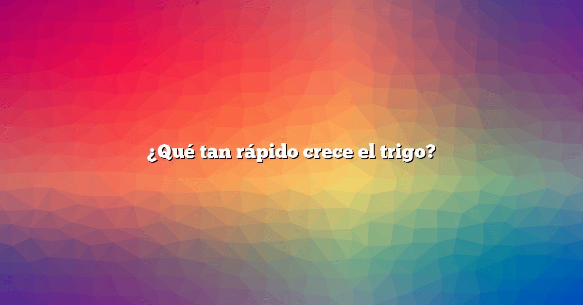 ¿Qué tan rápido crece el trigo?