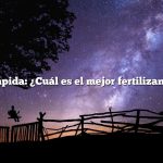 Respuesta rápida: ¿Cuál es el mejor fertilizante orgánico?