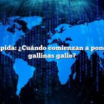 Respuesta rápida: ¿Cuándo comienzan a poner huevos las gallinas gallo?