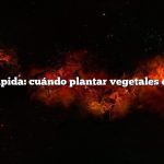 Respuesta rápida: cuándo plantar vegetales en Oklahoma