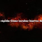 Respuesta rápida: Cómo incubar huevos de pavo real