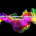 Respuesta rápida: Cómo mantener calientes a mis pollos en el invierno