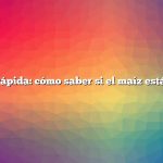 Respuesta rápida: cómo saber si el maíz está polinizado