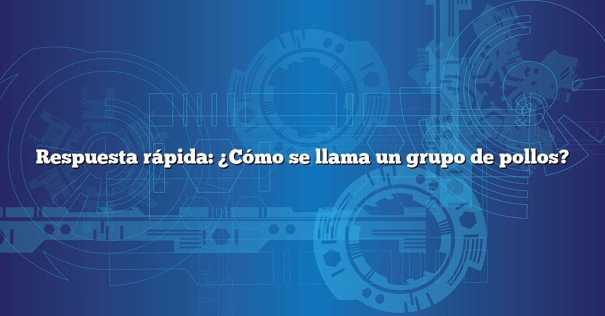 Respuesta rápida: ¿Cómo se llama un grupo de pollos?