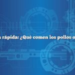 Respuesta rápida: ¿Qué comen los pollos orgánicos?