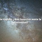 Respuesta rápida: ¿Qué insectos mata la tierra de diatomeas?