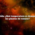 Respuesta rápida: ¿Qué temperatura es demasiado alta para las plantas de tomate?