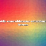 Risposta rapida: come abbassare naturalmente il pH nel terreno