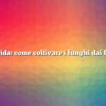 Risposta rapida: come coltivare i funghi dai fondi di caffè
