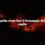 Risposta rapida: come fare il formaggio di capra con il caglio