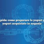 Risposta rapida: come preparare lo yogurt gelato dallo yogurt acquistato in negozio