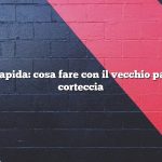 Risposta rapida: cosa fare con il vecchio pacciame di corteccia