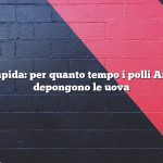 Risposta rapida: per quanto tempo i polli Ameraucana depongono le uova