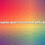 Risposta rapida: qual è la razza di pollo più grande