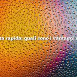 Risposta rapida: quali sono i vantaggi di Kelp