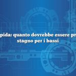 Risposta rapida: quanto dovrebbe essere profondo uno stagno per i bassi