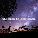 Che sapore ha la scorzonera
