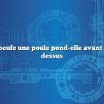 Combien d’oeufs une poule pond-elle avant de s’asseoir dessus