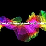 Come coltivare la radice di sedano