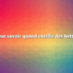 Comment savoir quand cueillir des betteraves