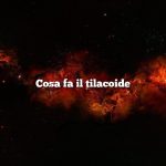 Cosa fa il tilacoide